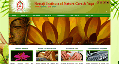 Desktop Screenshot of nethajinaturopathy.org